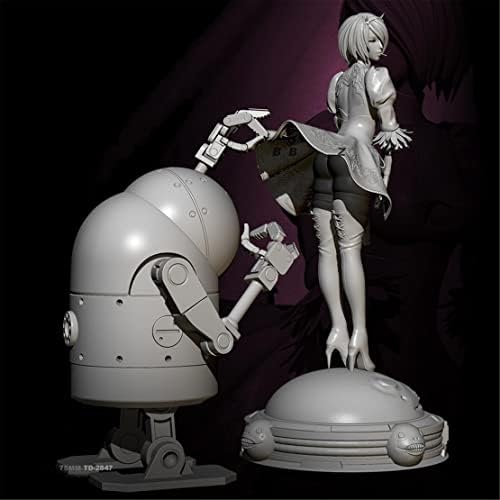 Risjc 1/24 75mm Fantasy Planet ženski ratnik i Robot smola Model minijaturni komplet, Nesastavljen