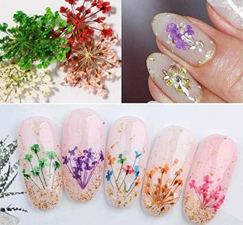 12 boja pravo suho cvijeće 3d nail Art Decors dizajn DIY Savjeti set kutija za manikir -