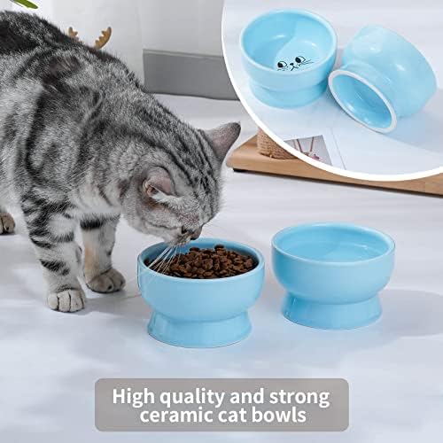 Podignuta posuda za mačke od keramike, uzdignute posude za CAT bez izlijevanja, posude za kućne