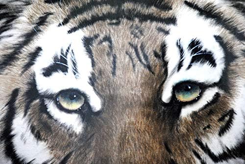Hu Shiyue, slikar je iz provincije Shanxi, tigar je kralj svih životinja