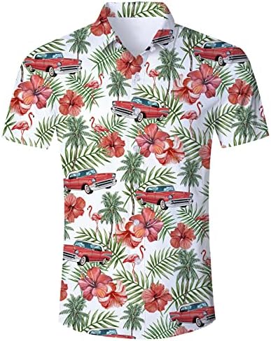 Alisister Mens Novelty Haljine Dugme za majice Down Smiješan 3D uzorak Havajska košulja Ljetna kuća za odmor
