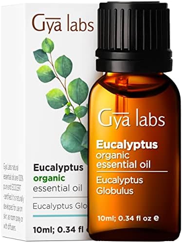 Gya Labs Organski eukaliptus Eterično ulje za difuzor - čista terapijska klasa Esencijalno ulje za eselsko