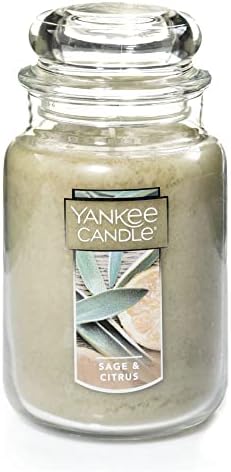 Yankee Svijećna noćna mirisana mirisana, Classic 22oz Veliki tumbler 2-Wick Svijećnica i kaduljska i citrusna