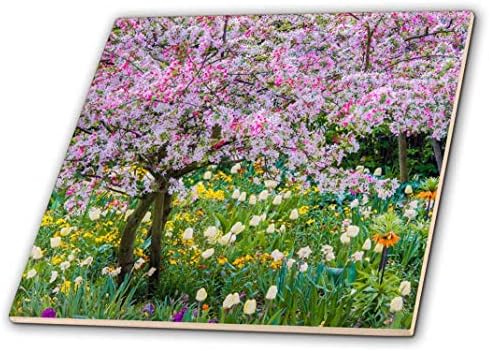 3drose ct_210032_1 Francuska, Giverny Springtime in Claude Monets Garden Ceramic Tile, 4