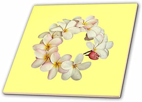 3drose Plumeria Tropski cvijet vijenac vijenac nalik uzorak-Tiles