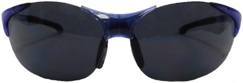 ERB 16806 Keystone zaštitne naočare, crni okvir sa dimnim sočivom