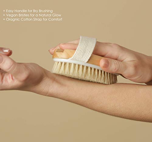 Napravio jarko Vegan i okrutnost slobodna ruka održana suho kože Brusher | Ayurvedski alat