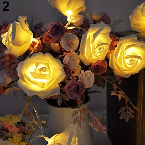 NPLE--20led Rose Flower Fairy Wedding Garden Party Božić ukras svjetla sa nizom (toplo-Bijela)