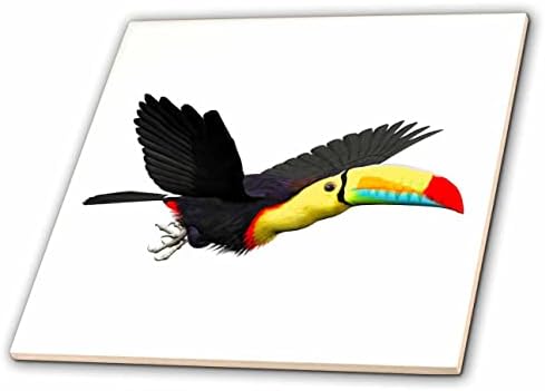 3drose Boehm Graphics Bird-Keel Bill Toucan Bird-Tiles