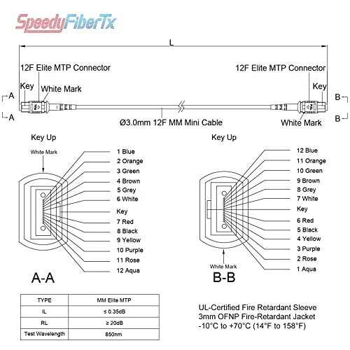 SpeedyFibertx - 2-pakovanje 0,20 metar 12 vlaknastih mtp za mtp vlakno kabel za prtljažnik,