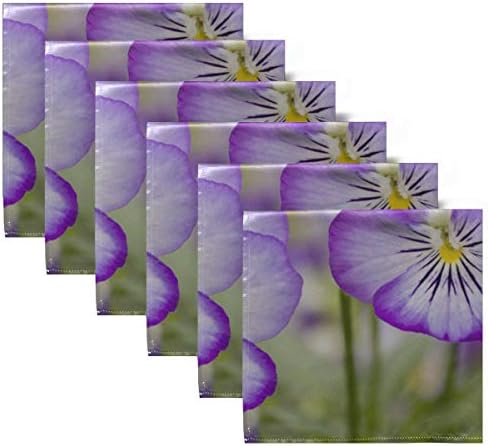 ENevotx Color Salveri prekrasan pansy cvijeće Moderni koktel salvete 20 x 20 inča za porodične