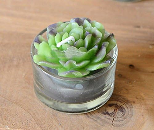 Sukulenti za prazničnu zabavu WISDOMTOY Mini biljka zelenog mesa romantična dekoracija svijeća, Set