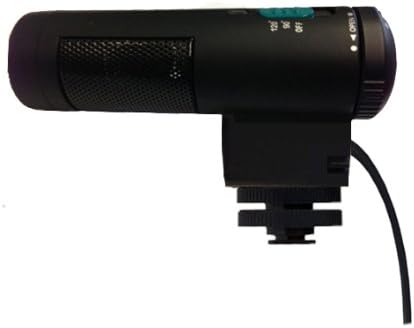 Stereo elektroener kondenzatorski mikrofon sa vetrobranskom stazom za Canon Vixia HF G10