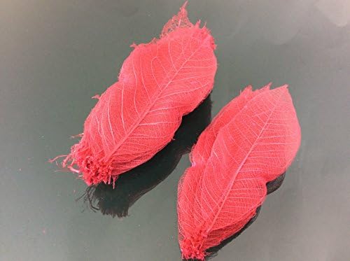 Magenta crveni kostur malih lišća 3 inča prirodne boje cvijeća izrada prirodnih gumenih listova