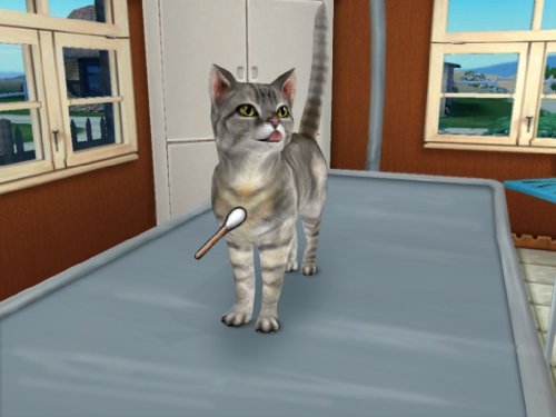 PAWS i CLAWS PET veterinar - Nintendo Wii