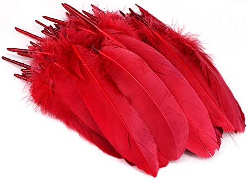 100kom / puno obojenih Plumas DIY Gusje perje Craft vjenčani dekor prirodni pero za zabavu nakit Izrada