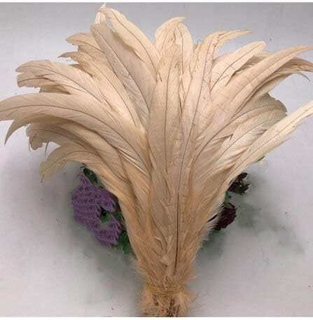 SELCRAFT pileće pero 25-30cm prirodno perje repa Pijetla za ukras Craft Feather Christma DIY Feather