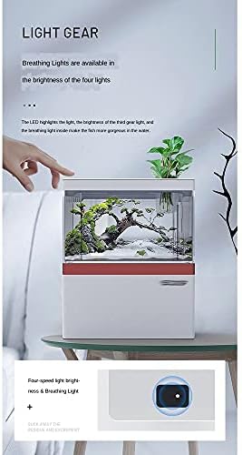 ZYZMH desktop kreativno uređenje domaćinstva mali ekološki akvarijum za ribu mikro pejzaž bez promjene
