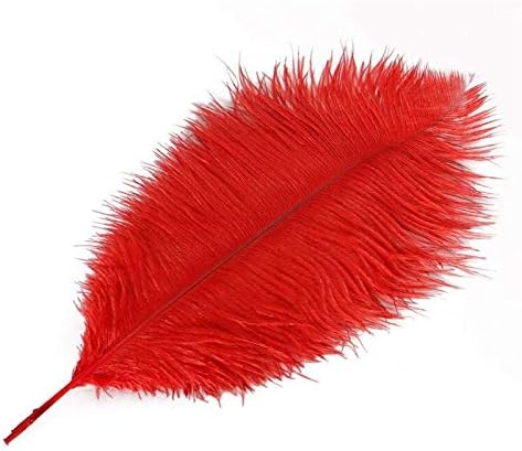 Zamihalaa Wholasale pahuljasto mekano crveno nojevo pero 10kom-200pcs15 - 70cm DIY perje za zanate ručni