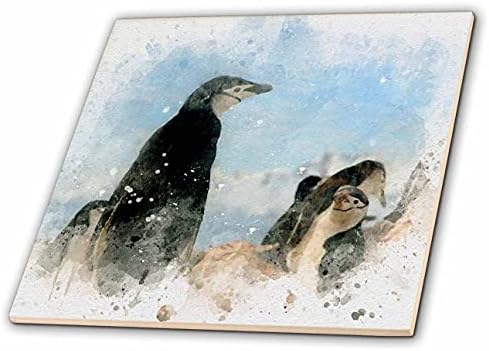 3drose Anne Marie Baugh-slika akvarela-pingvini slika akvarela-Tiles