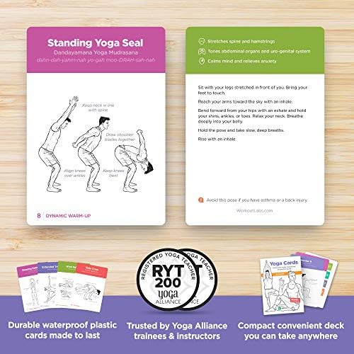 WorkoutLabs Vježba & amp; Yoga Cards ukupno fitnes paket za dom bez opreme treninga i joge praksa * Premium