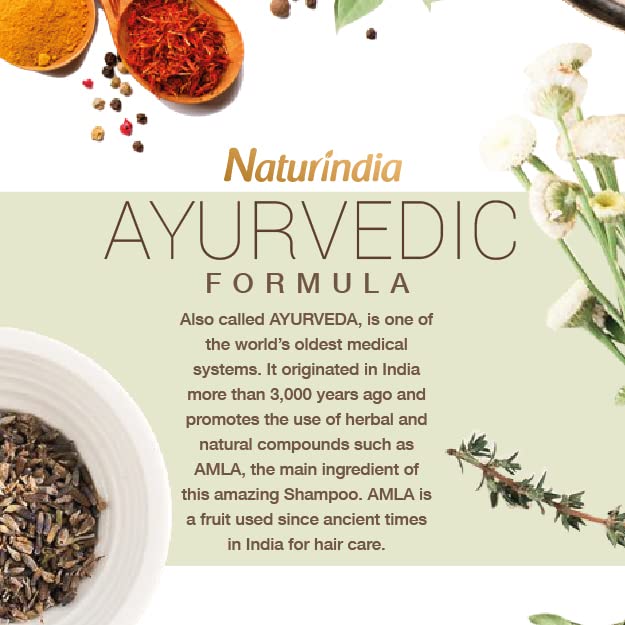 Naturindia Organski šampon za rast kose za muškarce ajurvedska formula Amla sprječava opadanje kose