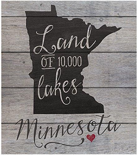 Kindred Hearts 12x13.5 Minnesota državni Slogan paletne ploče zid Art, siva