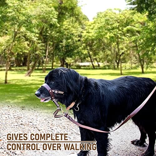 Alpha Boy Dog Trening Headcollar - udoban i nježan pas za sve rase - jednostavan za korištenje pasa Halter - originalni kožni remen - jednodijelni kabelski snop za pse sa brzim kopčom za puštanje