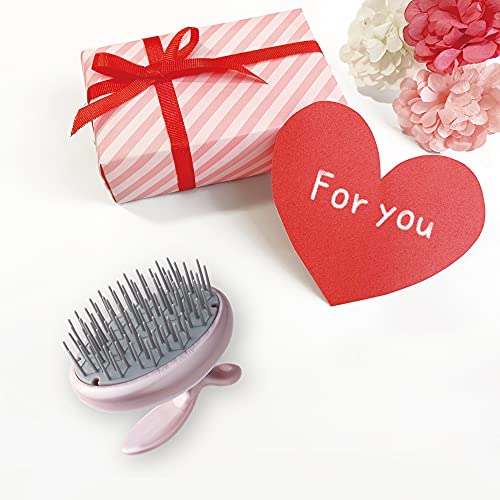 Terra Distribution Scalpberber [Made in Japan] Jedinstvena šampona izgled za glatko četkanje duge kose, masaža glave, muškarci, žene i poklon
