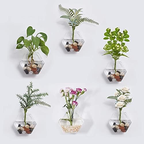 Blogblog Sadilice za staklene zidove 6PcsTerrarium viseći držači za vazdušne biljke kontejneri za Hidroponičke biljke, sukulente, bilje, cvijeće