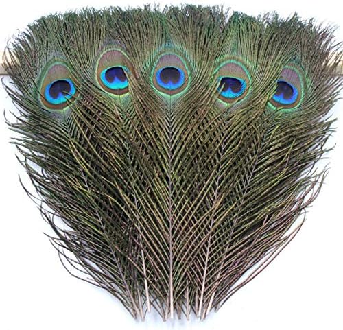 Tinsow 20 kom prirodno perje paunovog oka 9,8-11,8 inča za DIY zanat, svadbena praznična dekoracija