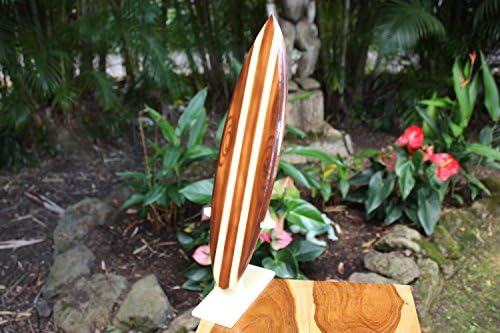 Tikimaster klasična daska za surfanje smeđa sa vertikalnim postoljem 16 - Trophy / #wai350140b