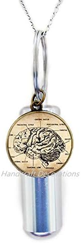 RukovanjeDecorations Anatomska mozga Kremacija urn ogrlica, ljudska mozga anatomija urn, neurolog poklon kremacija urn ogrlica, biologija, medicinski studentski poklon, neurologija urn.f049
