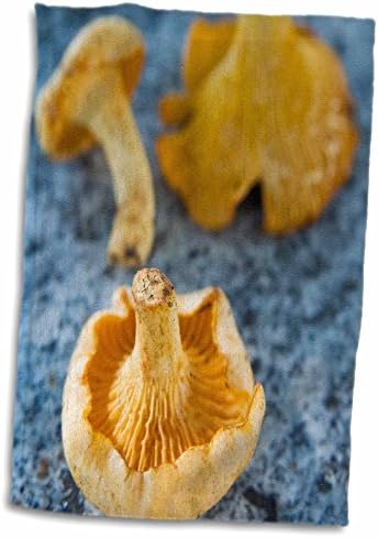 3drose gljive, lisičarke, gljive-EU16 NTO0478-Nico Tondini-ručnici