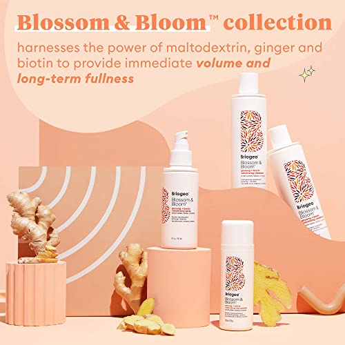 Blossom & amp; Bloom Ginseng + Biotin Volumizing šampon | Volumizing and Plumping for Fine, tanke,
