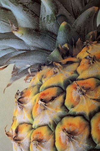 McAulay Arts ploča za rezanje stakla ananas 11.25 x 7.87