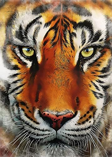 Maleron Dijamantni setovi Tiger, 5D dijamantna boja po broju kompleti za odrasle djeca, stres