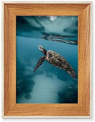 Mcjs Ocean Sea Turtle Naucnosti Slika prirode Desktop Drveni foto okvir Zaslon slike umjetno slika Višestruki