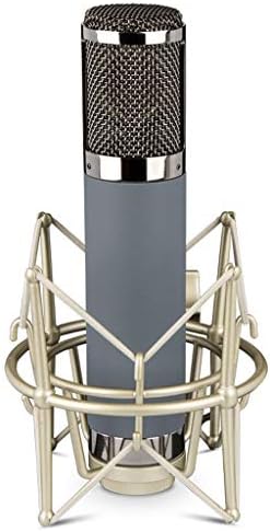 RTBBYU veliki membranski kondenzator Studio za snimanje mikrofona igranje za vokalno emitovanje