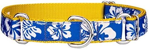 DRŽAVNI BROOK DESIGN - Royal Blue Hawaiian Ribbon Martingale ovratnik za pse - mali