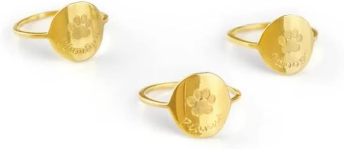 LONGLITER prsten za pse sa prilagođenim printom ogrlica za kućne ljubimce memorija za Memorijalni