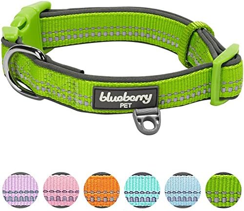Blueberry Pet Soft & amp; Siguran 3m reflektivni neopren podstavljeni podesivi pas ovratnik - zeleni Blic,