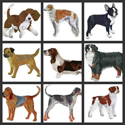 Nevjerojatni poprilični portreti za pse [granični terijer] Vezerovo željezo na / sew flaster [5 x 4,5] [izrađeno u SAD-u]