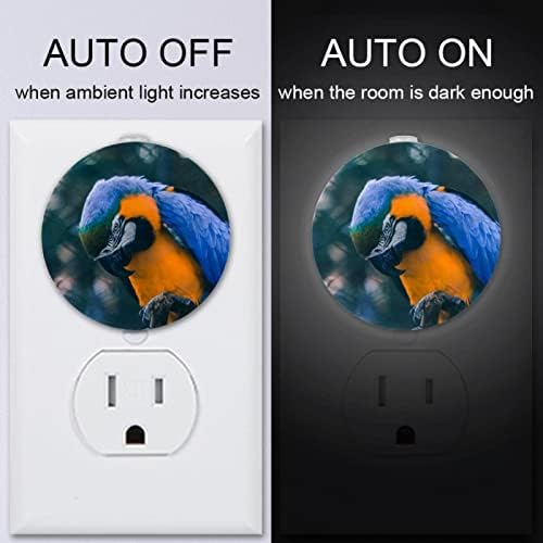 2 paketa Plug-in Nightlight LED Night Light papagaj životinja sa senzorom od sumraka do zore za dečiju sobu,