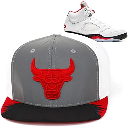 Mitchell & amp; Ness Chicago Bulls DAN 5 Snapback šešir Podesiva kapa - 5 Retro Vatreni crveni srebrni