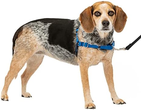 PetSafe easy Walk no-Pull pas pojas-vrhunski pojas koji pomaže u zaustavljanju povlačenja-preuzmite