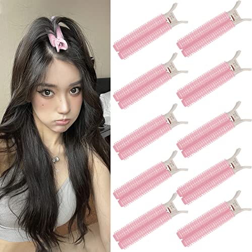 Hapdoo 10kom Pink volumizing hair Clips, Volume Root Clips za kosu DIY, Fluffy Tooth Hair Volumizer