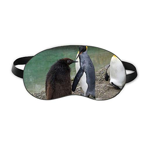 Morska hladna antarktička pingvina nauka prirode Slika za spavanje štitnika za oči Soft Night Poklopac sjene