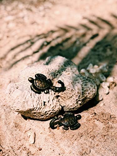 Živi istraživači Mala Slatka morska kornjača Antikni liveni Mesingani držač za ključeve i zidna kuka