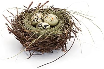 Gnijezdo merrose sa pjenačkim jajima, promjerom 6 inča, ukrasni uskršnji akcent, posteljina malim